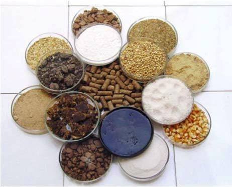 Cattle Feed
